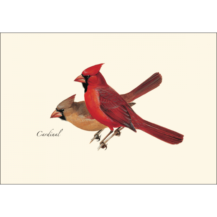 Earth Sky + Water - Cardinal Notecard Set, Illustrated by Roger Tory Peterson