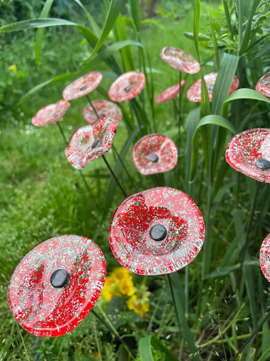 CARNEOL GLASS - Small Glass Flower For Inside In Transp.-White-Red