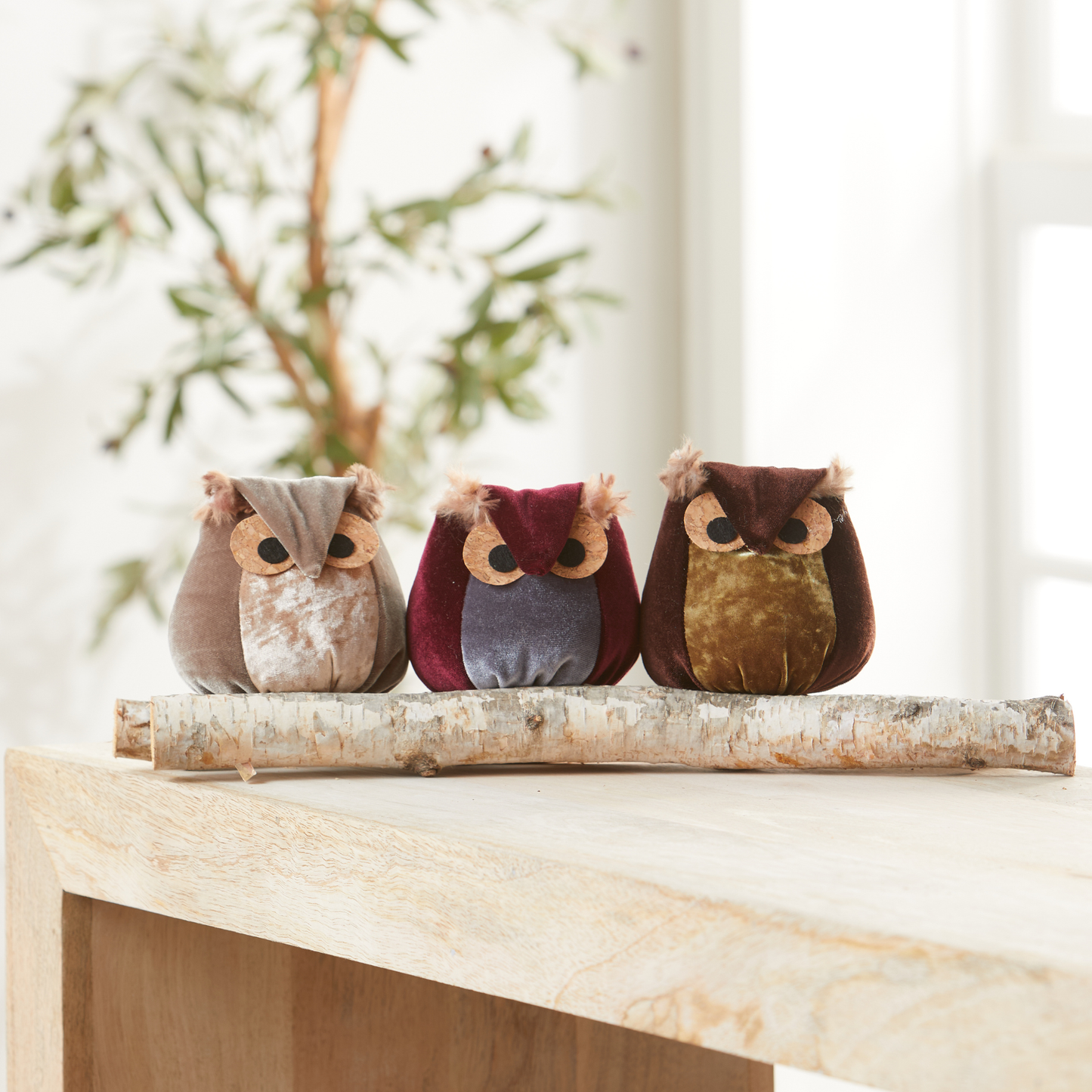 Your Heart's Content - Whimsical velvet owls,  charming owl enthusiastic, unique: Taupe Owl