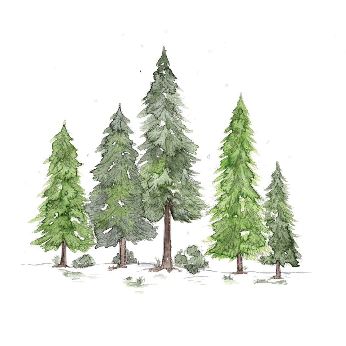 Willow Wolfe USA - Winter Glow Watercolor Workbook By Nya Wolfe