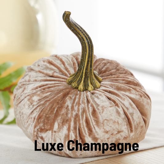 Your Heart's Content - Pumpkin Large Velvet, Fall Decor, Shelf Sitter, Tablescape: Luxe Champagne