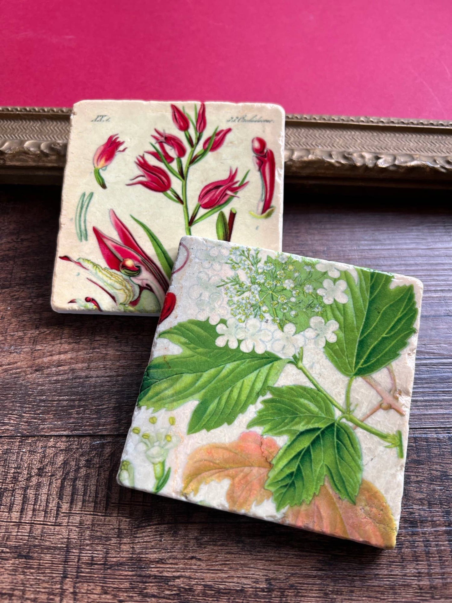The Painted Lily - Pretty Pink Botanicals stone coasters - case of 4