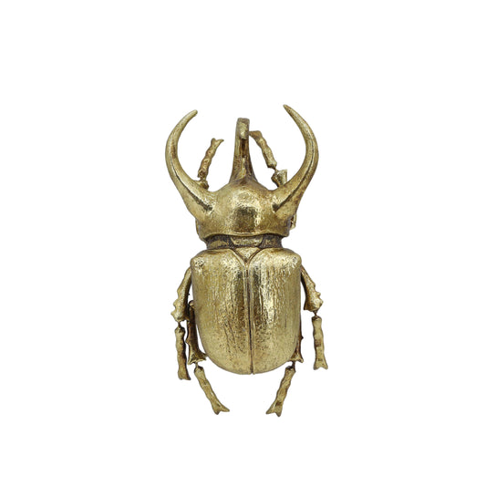 Modern World by Contrast Inc. - Gold Rhino Beetle Wall Décor (Small Version)