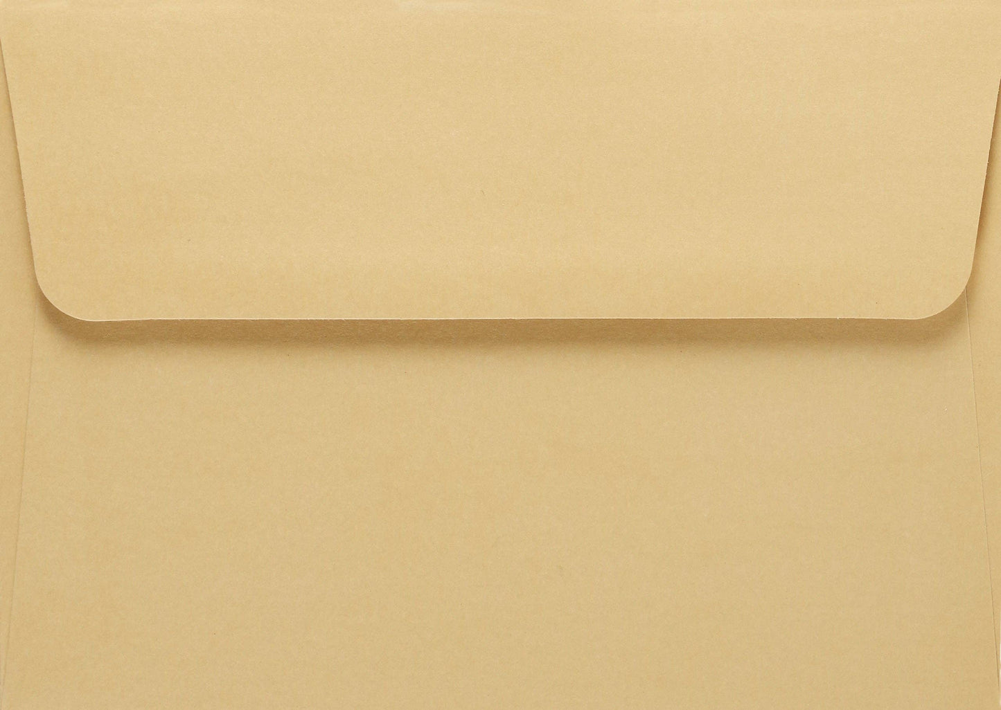 Peter Pauper Press - Peach Blossoms Thank You Notes