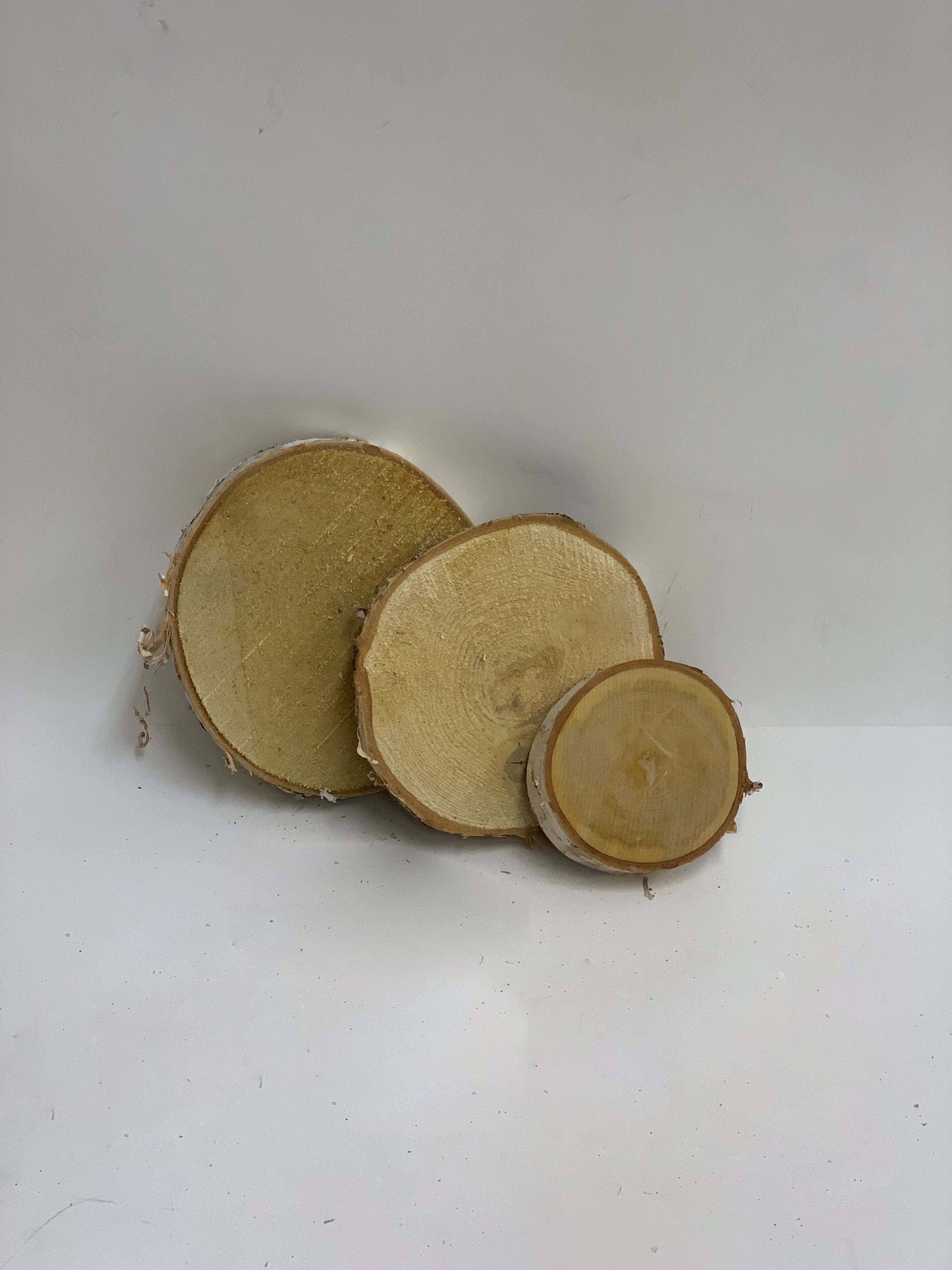 Winter Woods - 7" Birch Disk