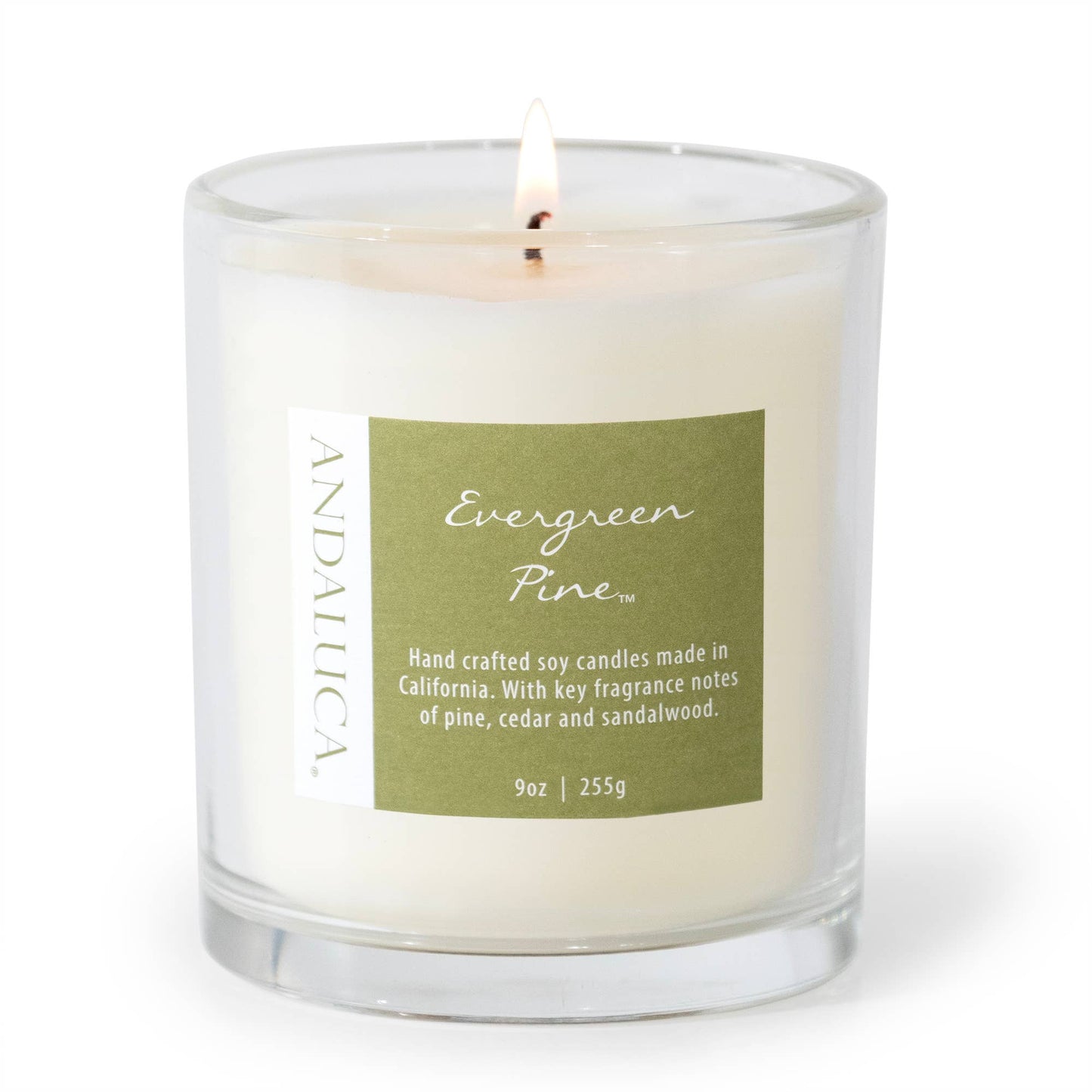 Andaluca - Evergreen Pine 9 oz Candle