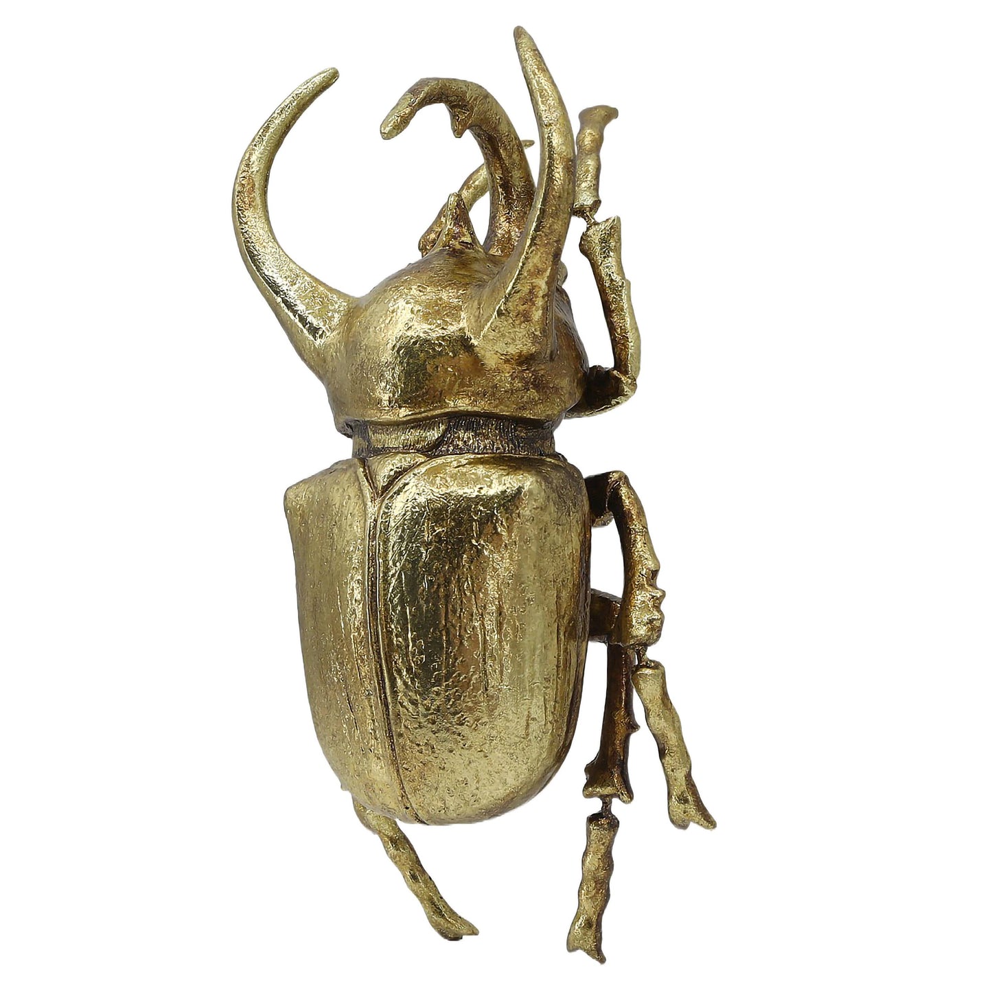 Modern World by Contrast Inc. - Gold Rhino Beetle Wall Décor (Small Version)