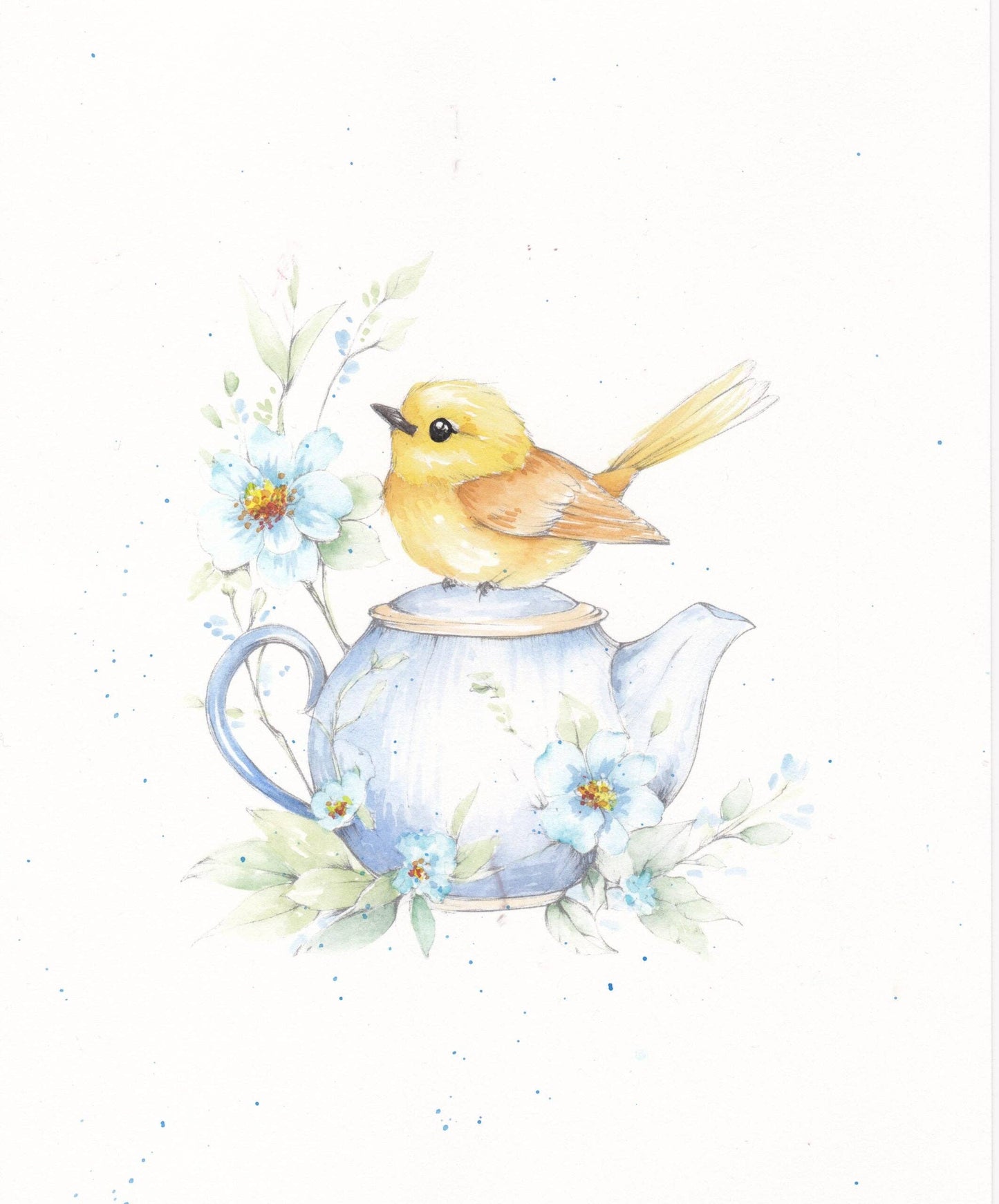 Willow Wolfe USA - Feathers & Finery Watercolor Workbook