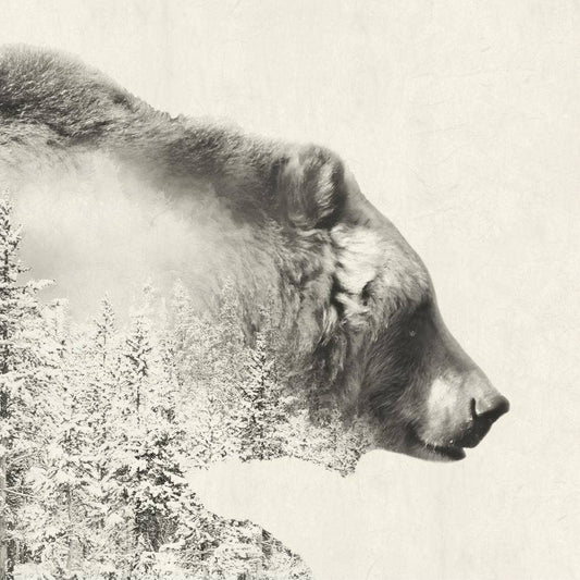 Paperproducts Design - LUNCH- MAJESTIC BEAR