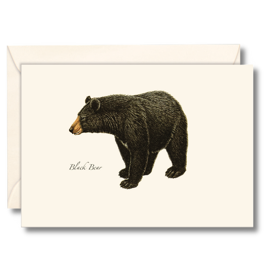 Earth Sky + Water - Black Bear