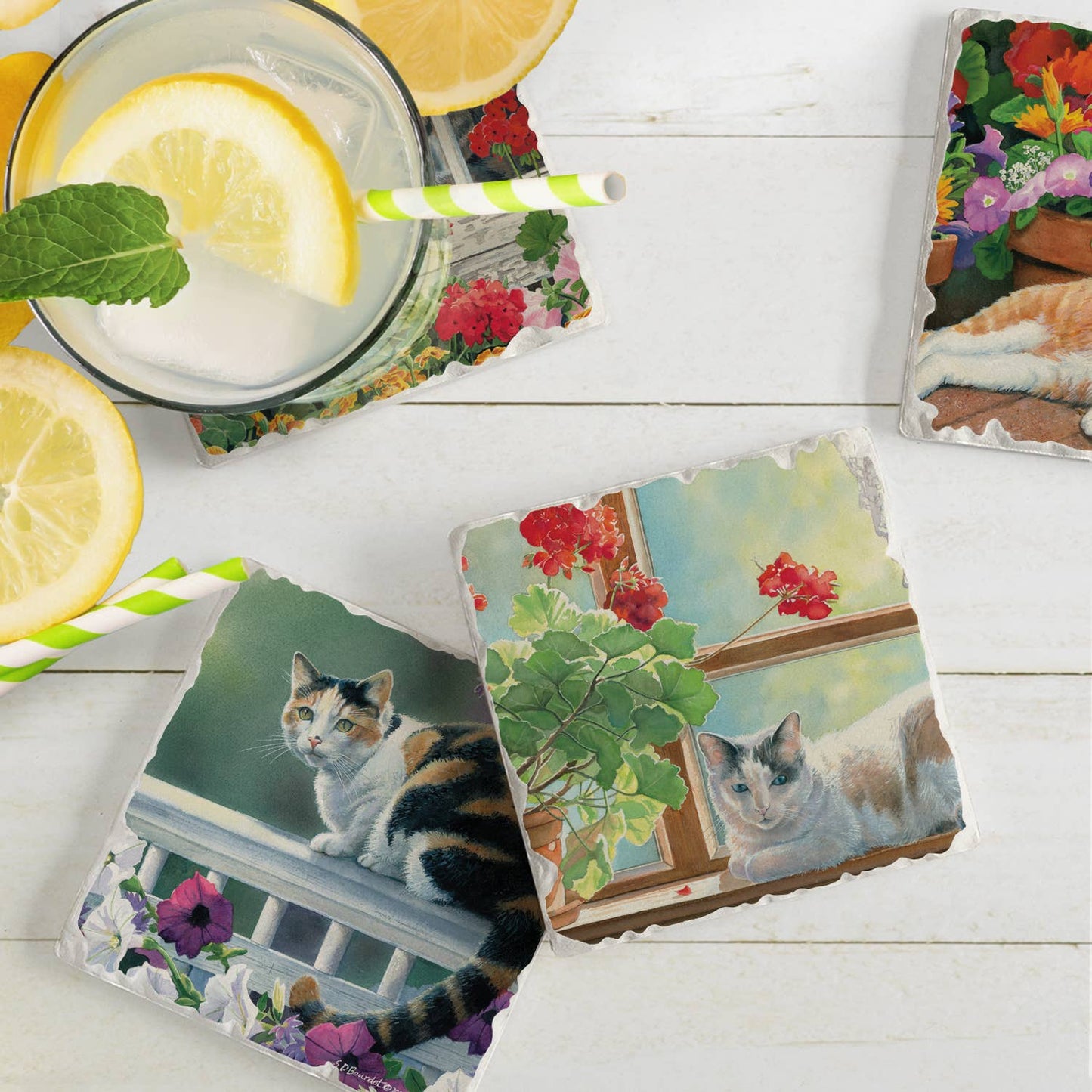 CounterArt/Highland Home/Thirstystone - A Lazy Day Assorted Image Tumbled Tile Coaster 4 Pack