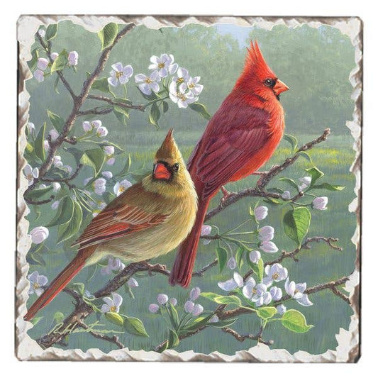 CounterArt/Highland Home/Thirstystone - Cardinals #1 Single Absorbent Stone Tumbled Tile Coaster
