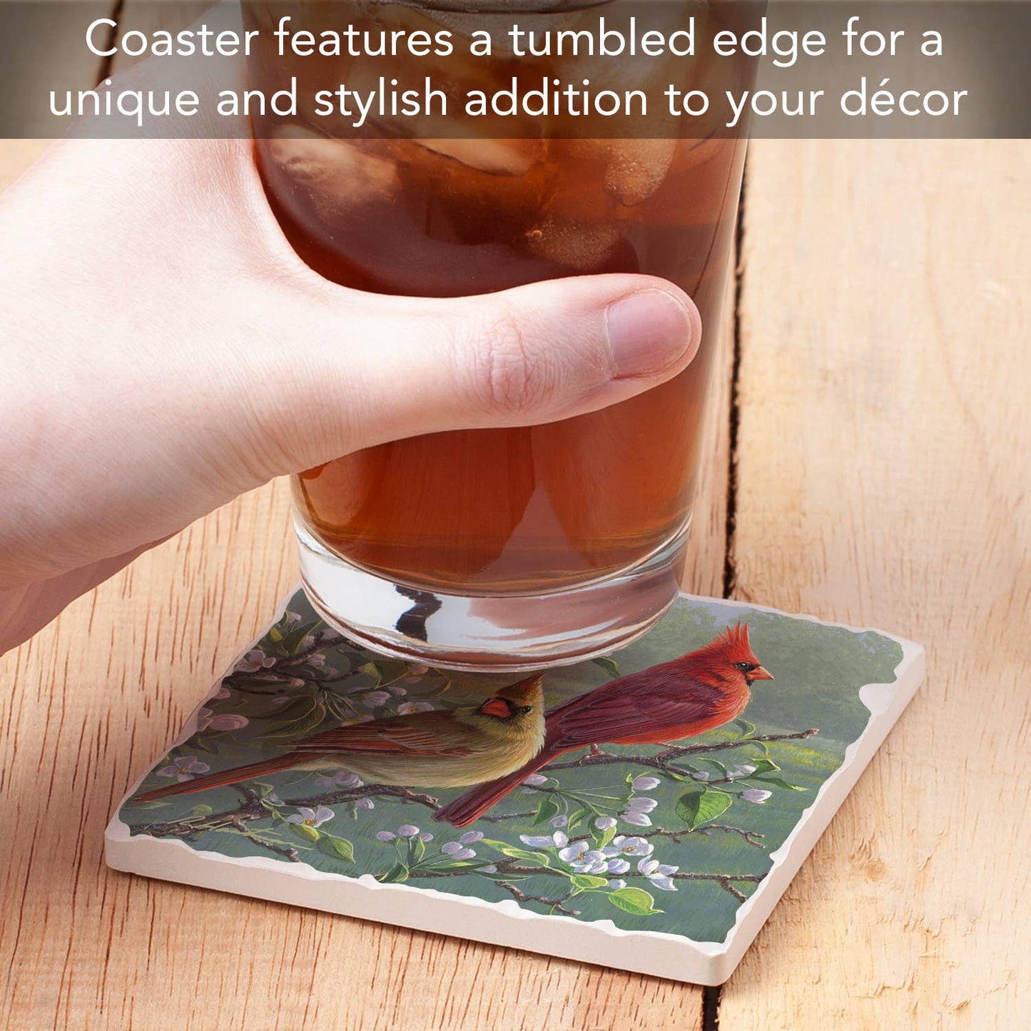 CounterArt/Highland Home/Thirstystone - Cardinals #1 Single Absorbent Stone Tumbled Tile Coaster