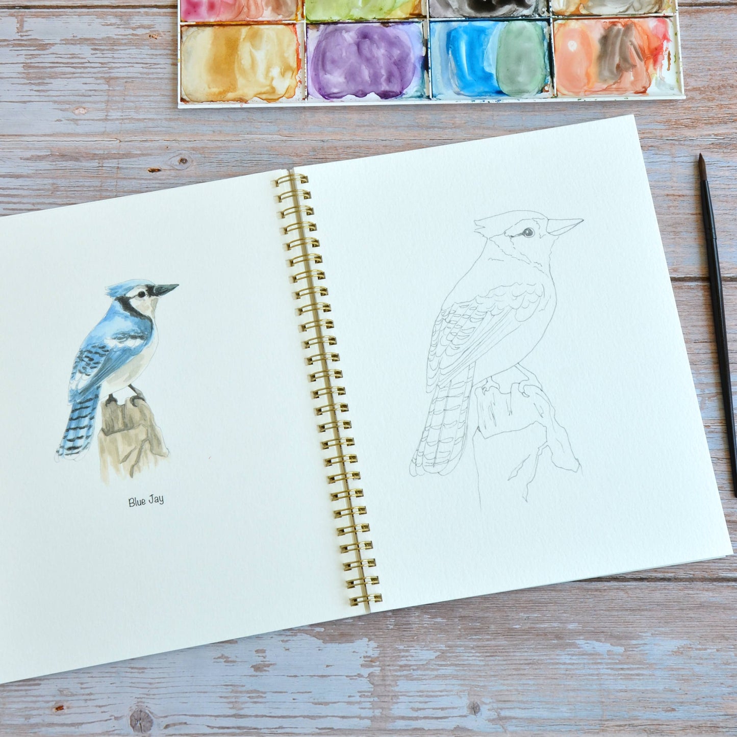 LKA Fine Art - Watercolor workbook, Backyard Birds Watercoloring book