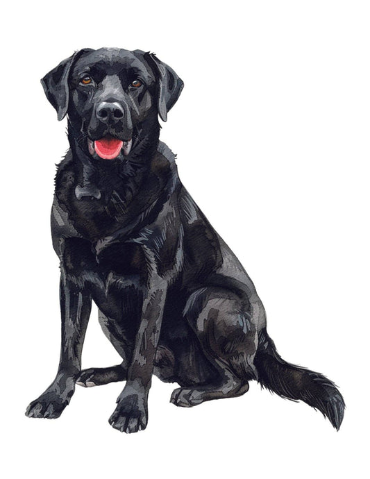 Bourbon & Bacon - Labrador Retriever, Black Note Cards