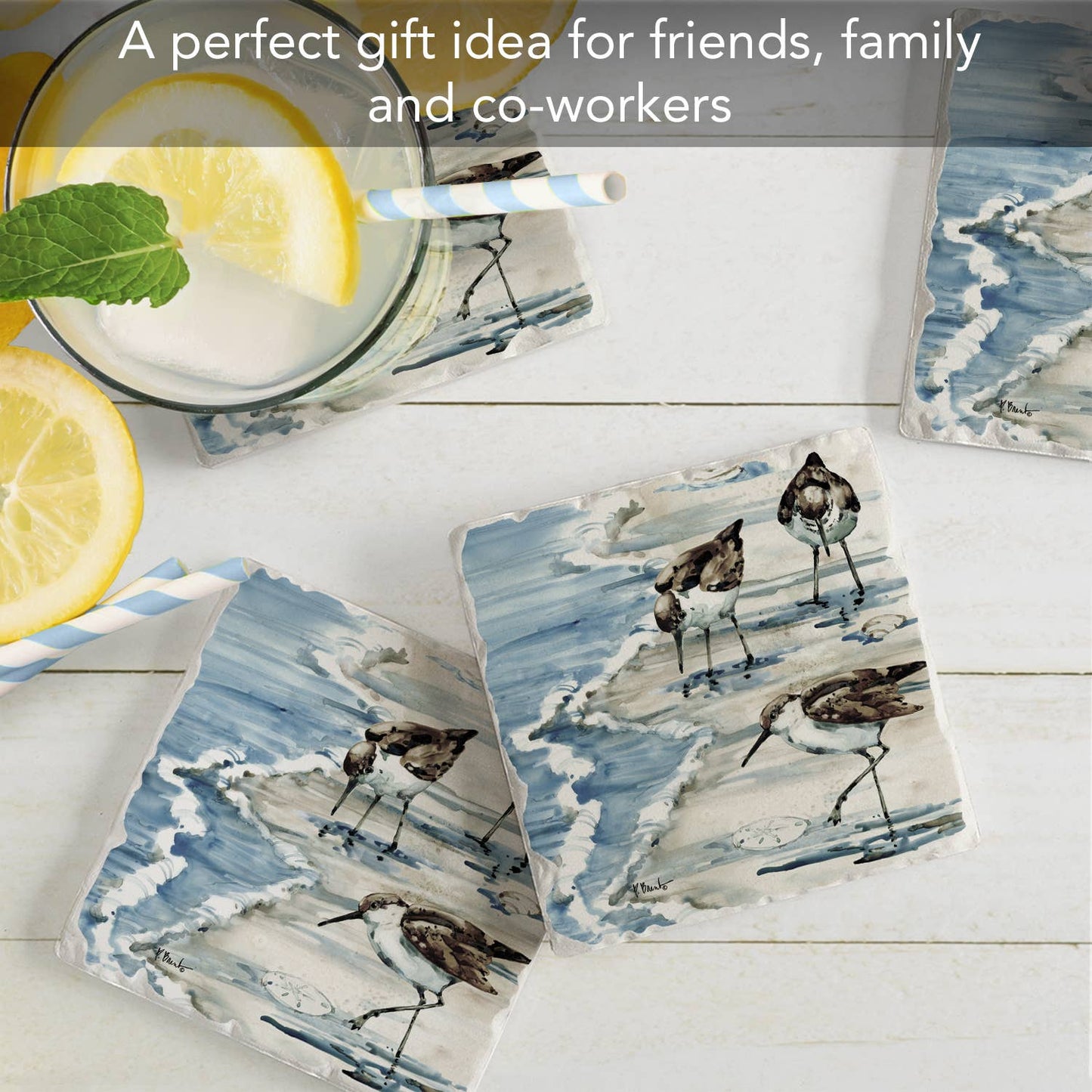CounterArt/Highland Home/Thirstystone - "Rockhampton Sandpipers"  Tumbled Tile Coaster 4pk