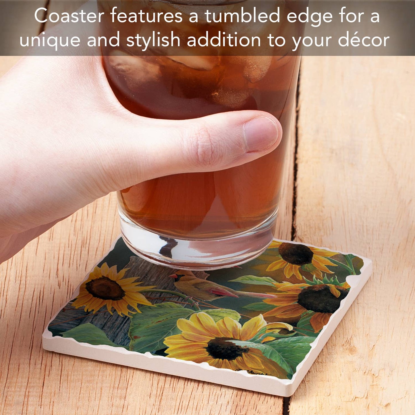 CounterArt/Highland Home/Thirstystone - Take Flight 9 Single Absorbent Stone Tumbled Tile Coaster
