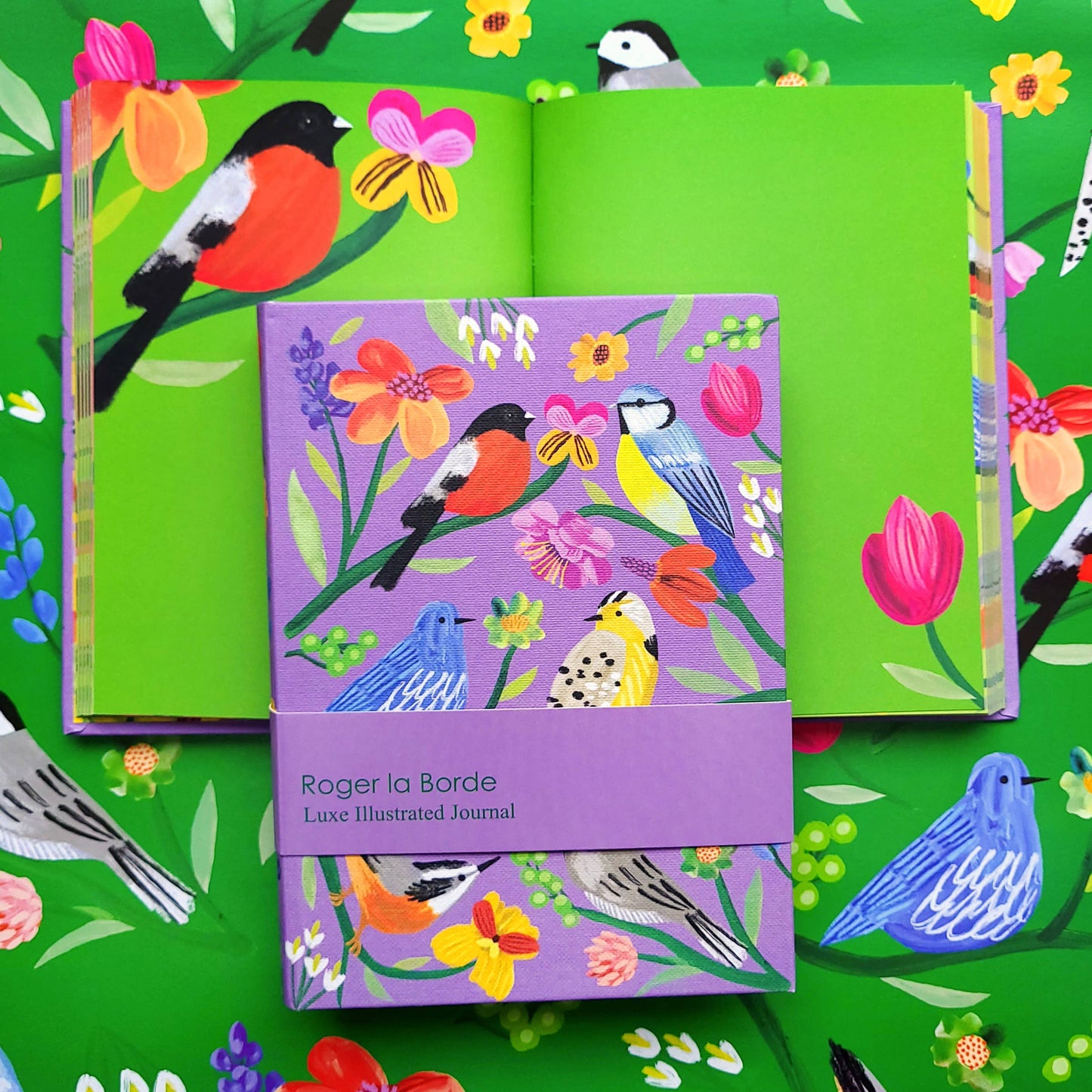 Roger La Borde - Birdhaven Illustrated Journal  - AS 072