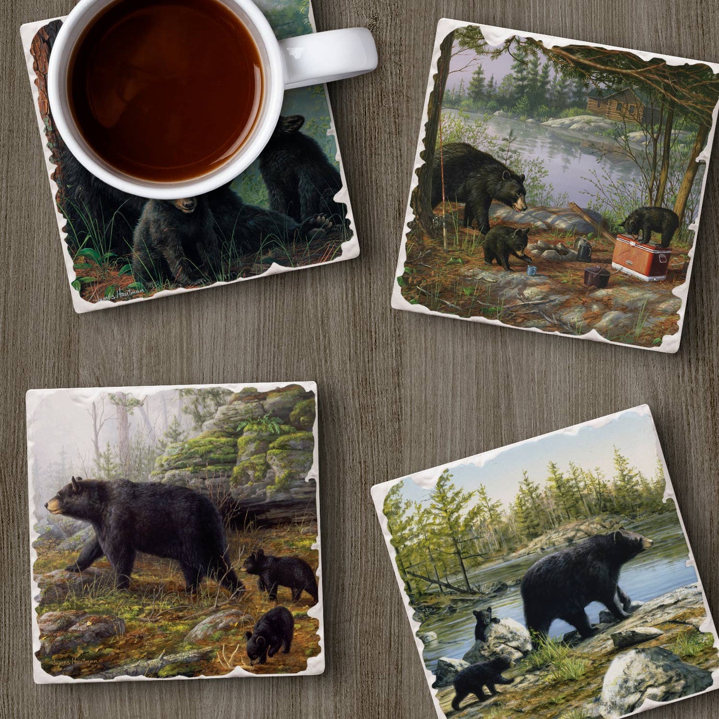 CounterArt/Highland Home/Thirstystone - Keeping Watch Assorted Image Tumbled Tile Coaster 4 Pack