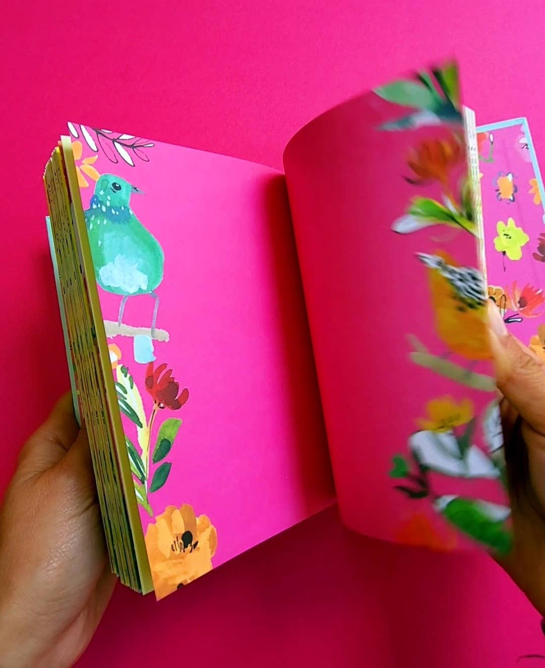 Roger La Borde - Bird Life Illustrated journal  - AS 053