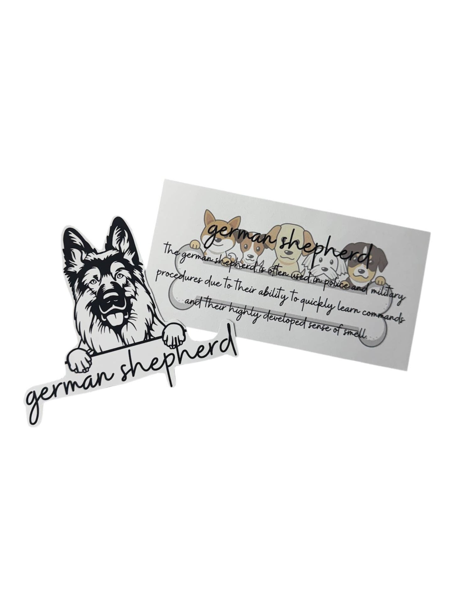 Boutique Unique - 🐶 Stick With Your Favorite Breed! 🐶: Irish Setter