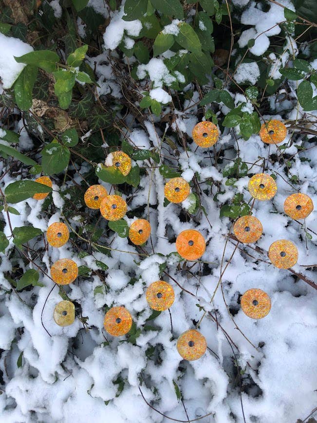 CARNEOL GLASS - Small Glass Flower For Outside In Transp.-orange-yellow