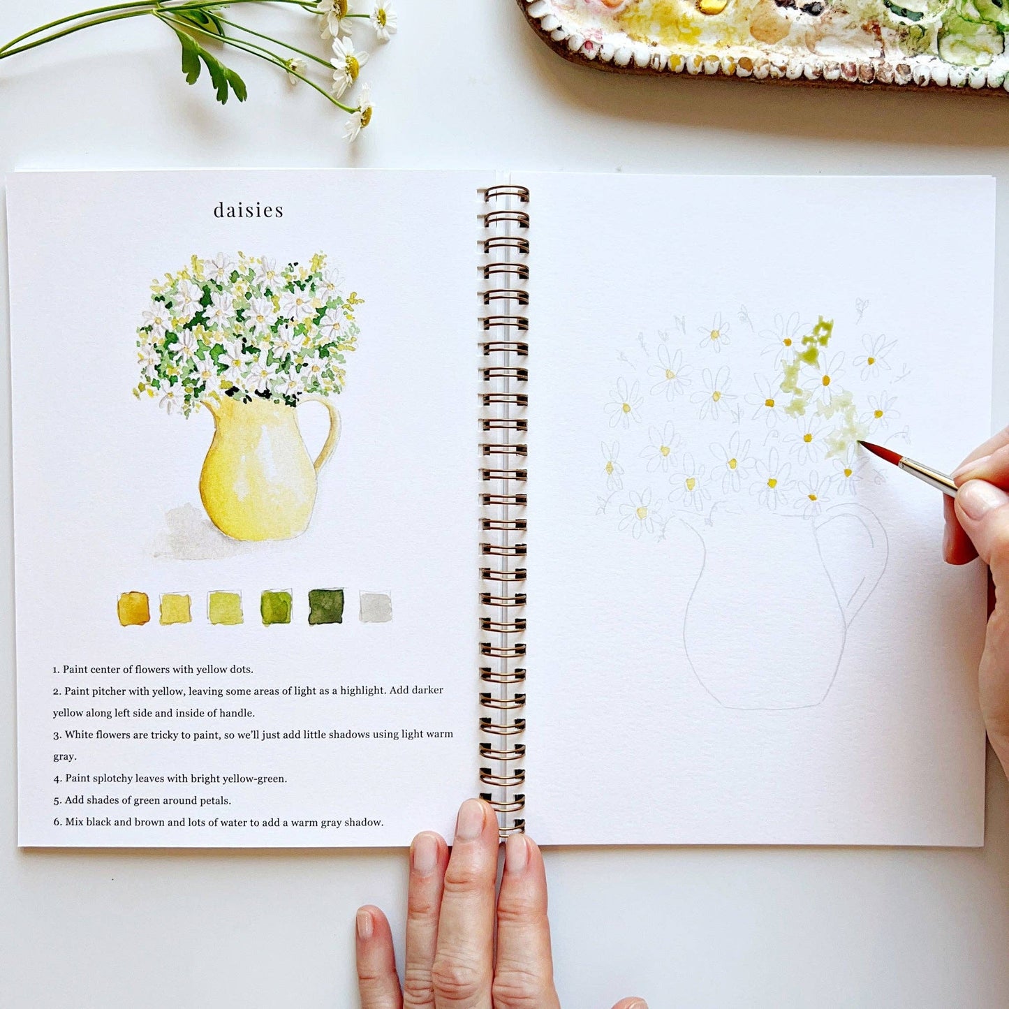emily lex studio - Flowers watercolor workbook presale