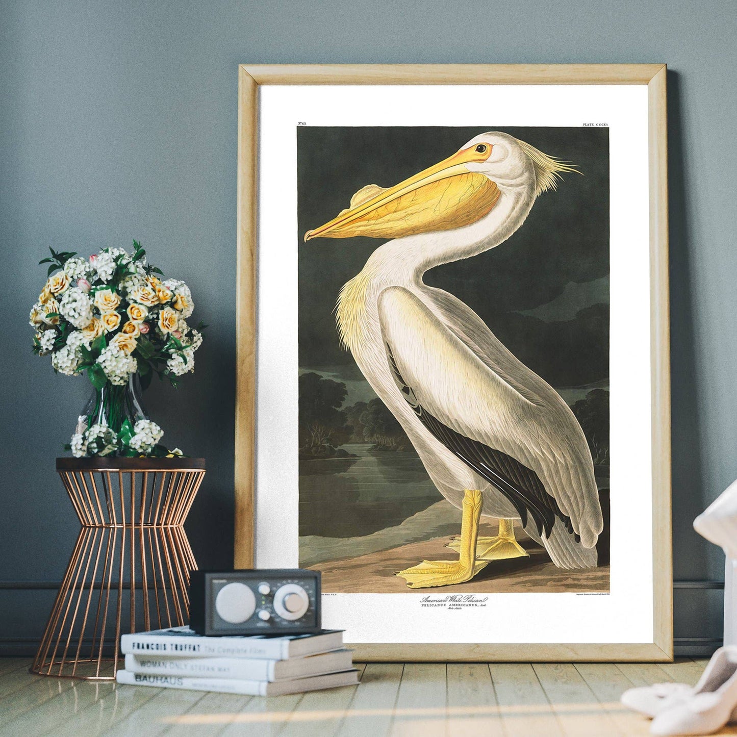 Ink & Drop - American White Pelican Vintage Antique Bird Print: 11 ¾ x 15 ¾ in | 30x40 cm / Matte