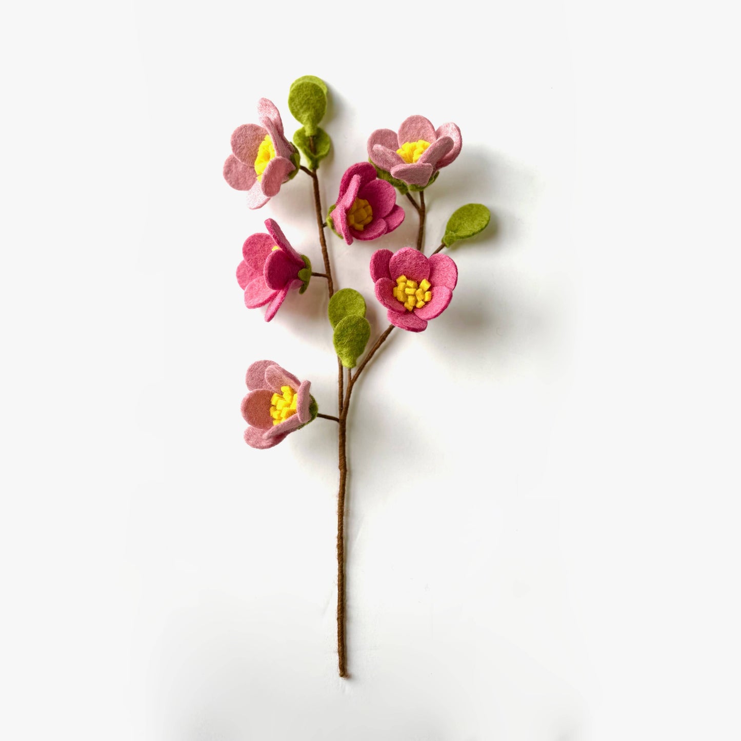 The Winding Road - Cherry Blossom Flower Stem