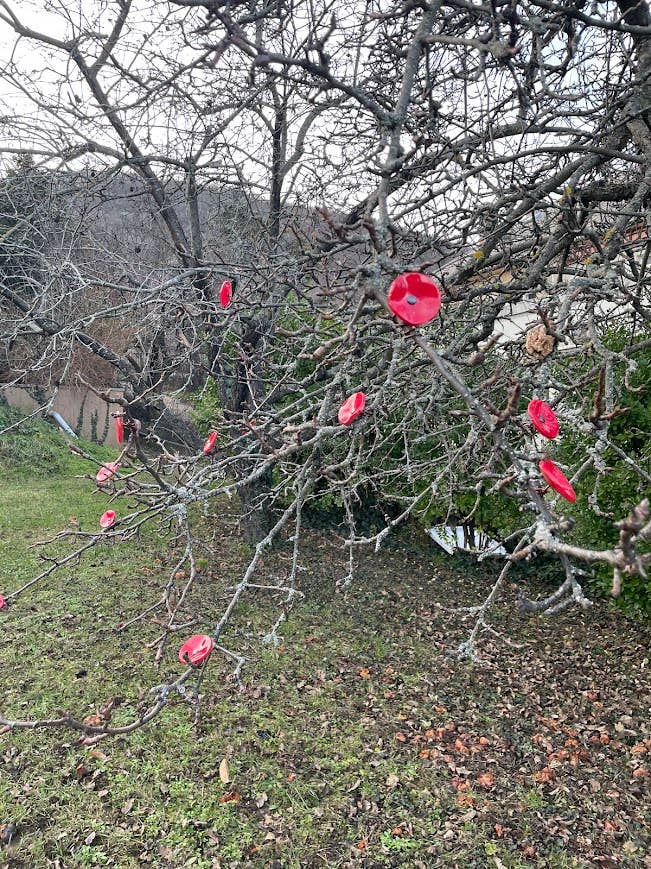 CARNEOL GLASS - Small Glass Flower For Outside In Red On Flexible Stem