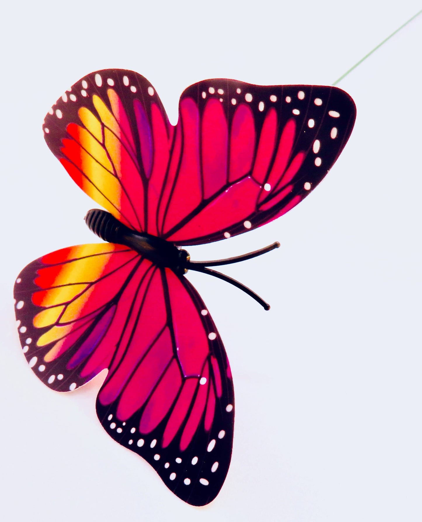 Gifts Amazing! - Butterfly on Wire Stem
