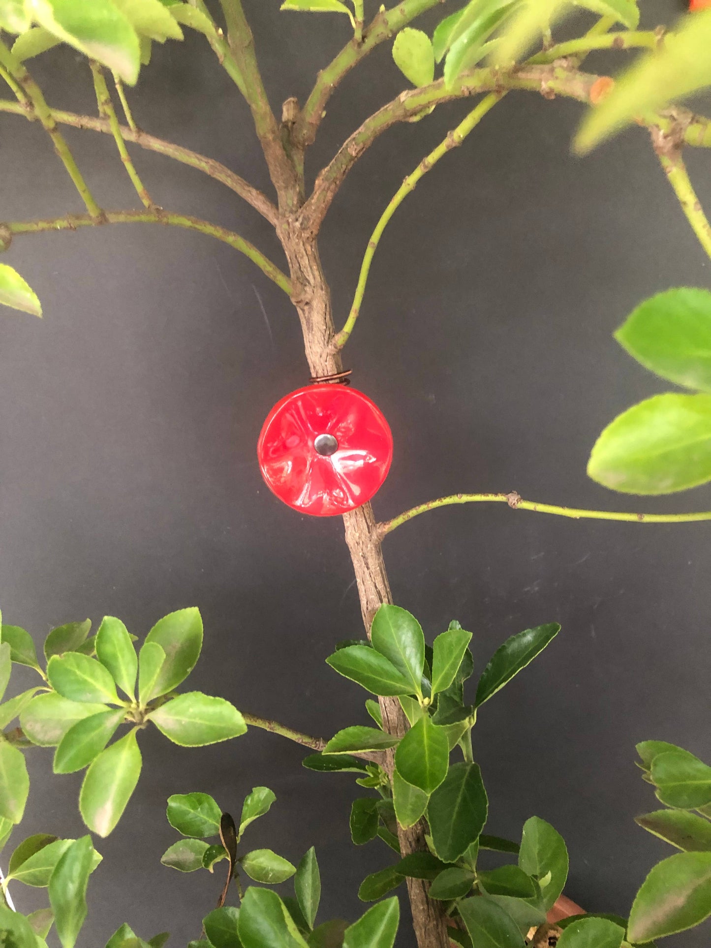 CARNEOL GLASS - Small Glass Flower For Outside In Red On Flexible Stem