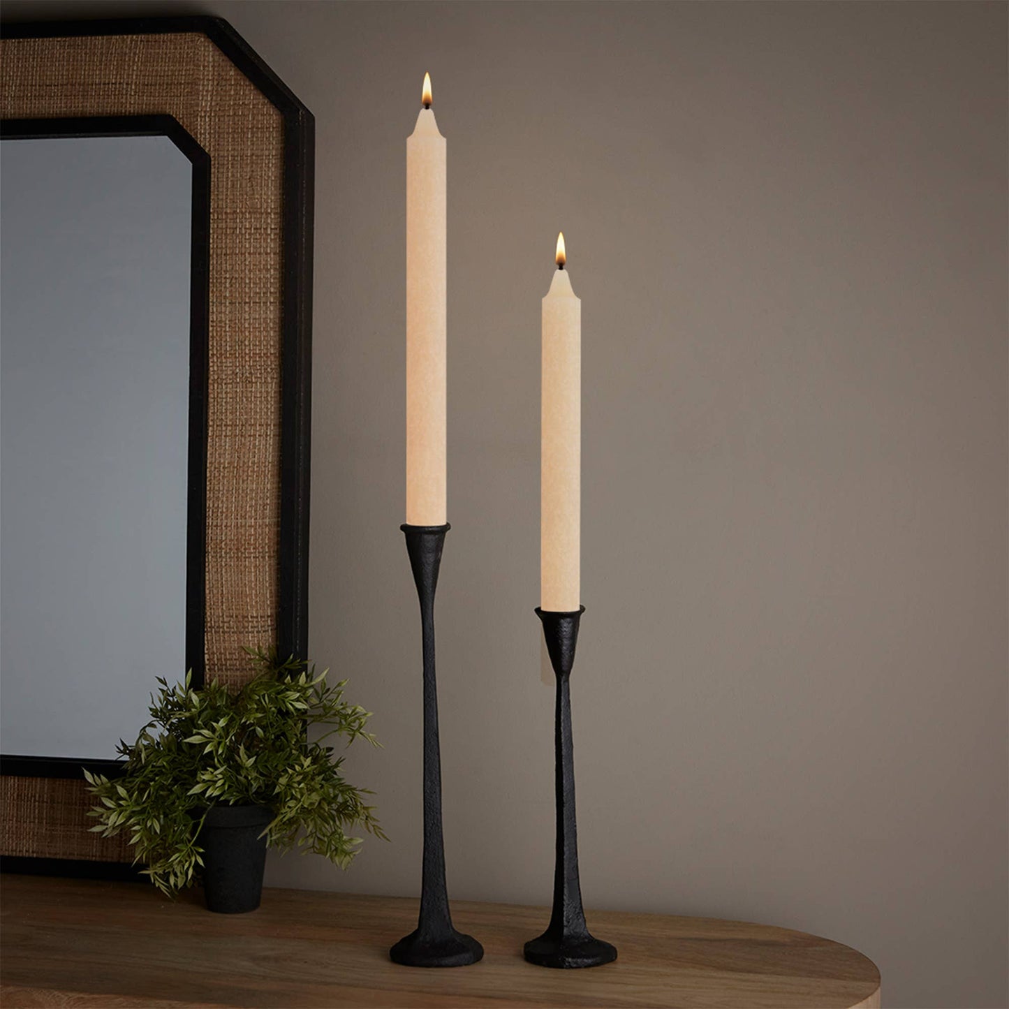 ROOT Candles - ROOT Timberline Arista Candles Box Of 12: Abyss / 12 inch