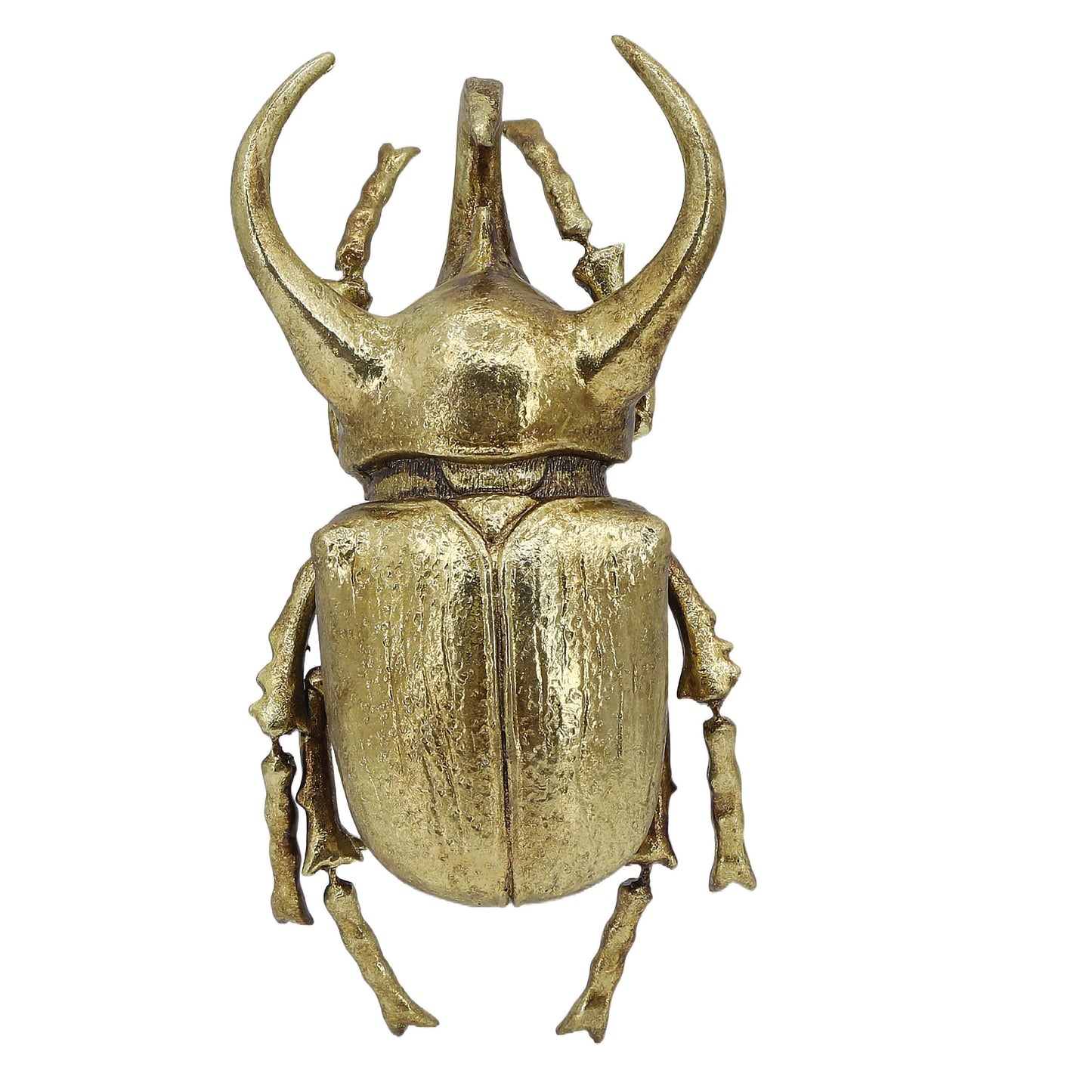 Modern World by Contrast Inc. - Gold Rhino Beetle Wall Décor (Small Version)