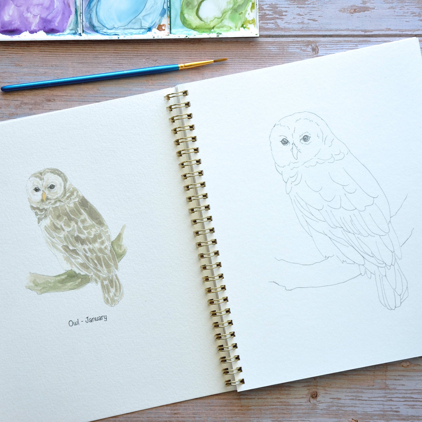 LKA Fine Art - Watercolor workbook, Birth Month Birds Watercoloring book