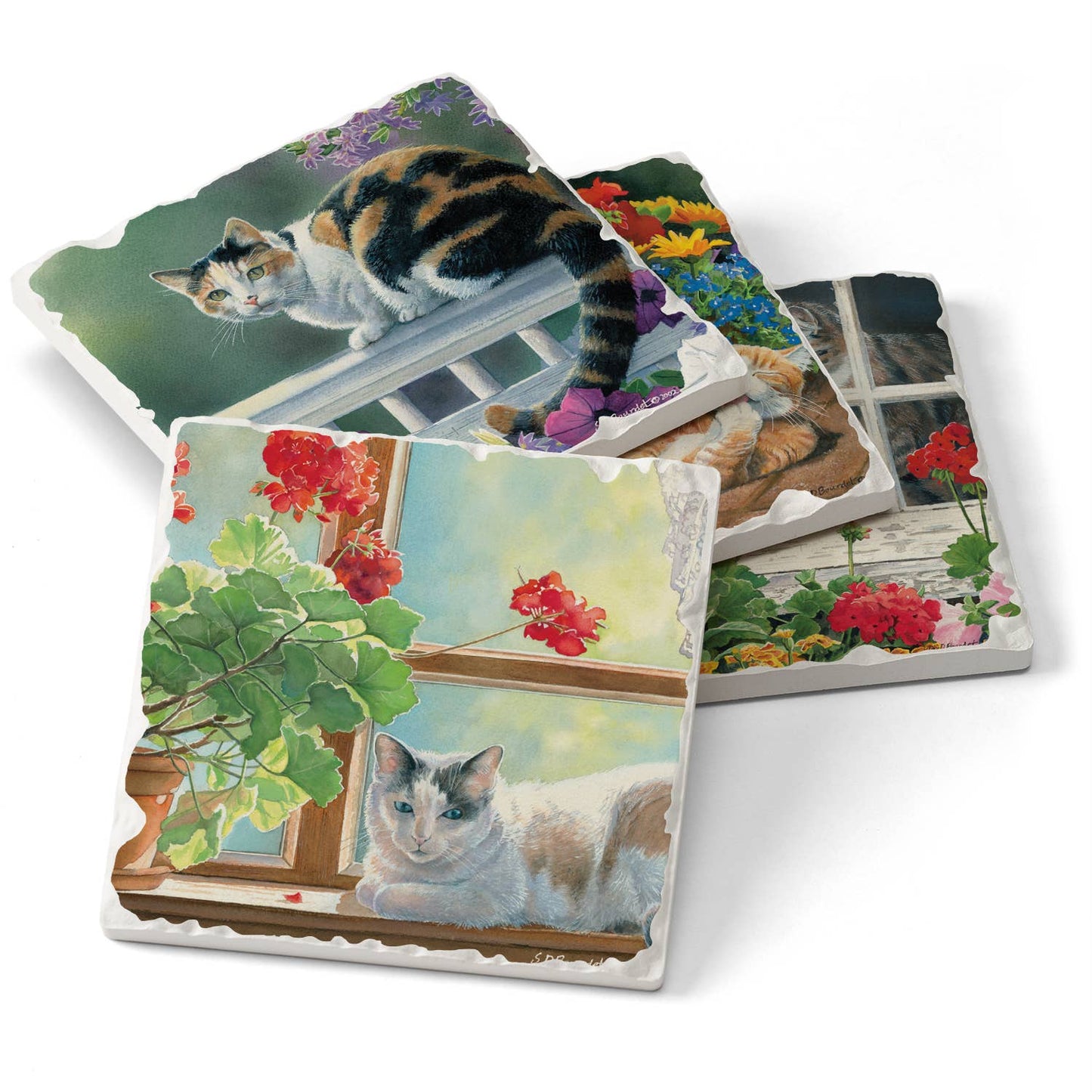 CounterArt/Highland Home/Thirstystone - A Lazy Day Assorted Image Tumbled Tile Coaster 4 Pack