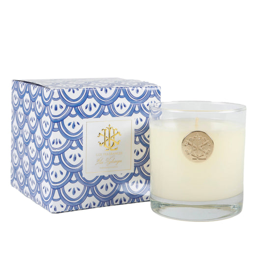 LUX FRAGRANCES - Blue Hydrangea 8 oz Blue and White Designer Box Min 6