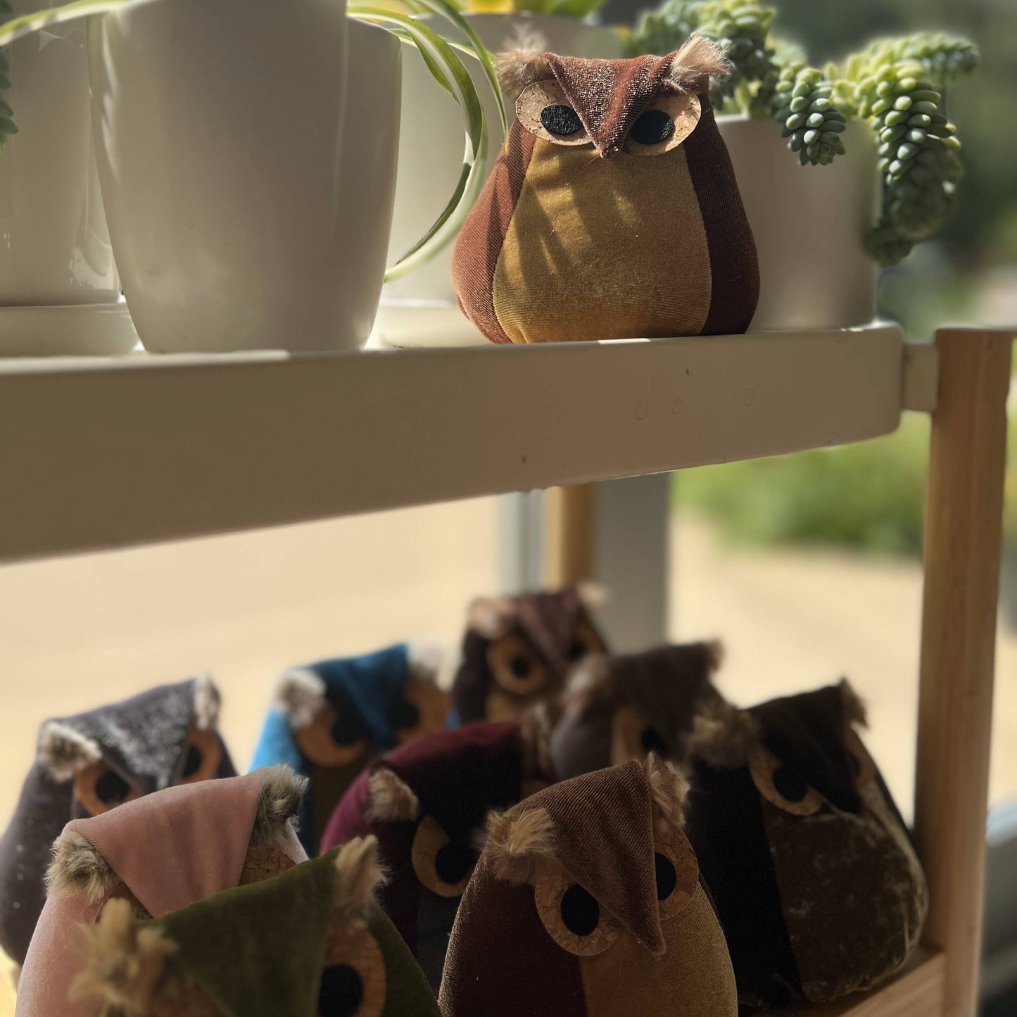 Your Heart's Content - Whimsical velvet owls,  charming owl enthusiastic, unique: Brown Owl