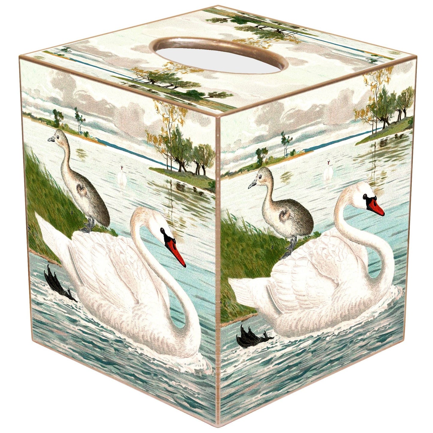 Marye-Kelley - TB6838-Swan in a Pond Tissue Box: Paper Mache