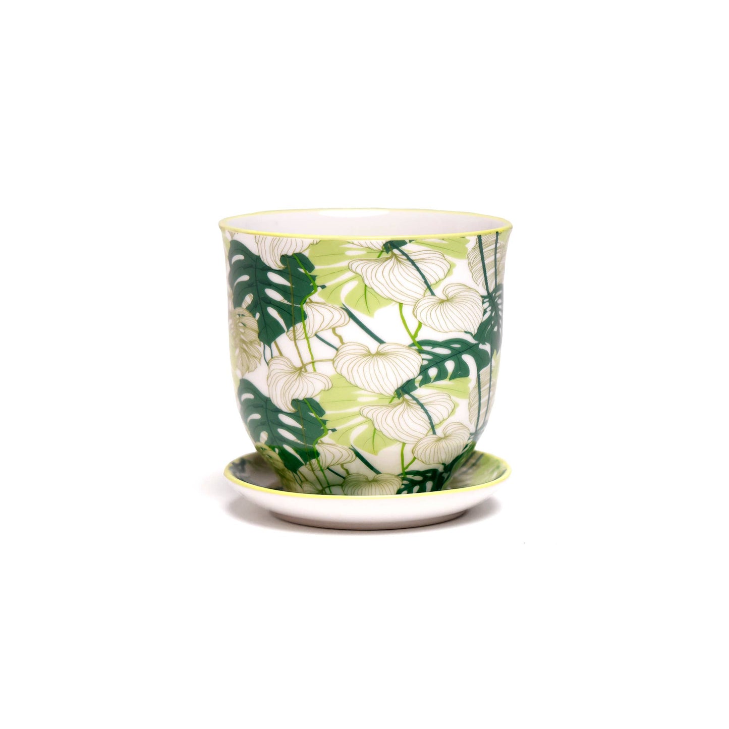 Chive - Liberte Indoor Porcelain Plant Pots: Monstera / 3.25"