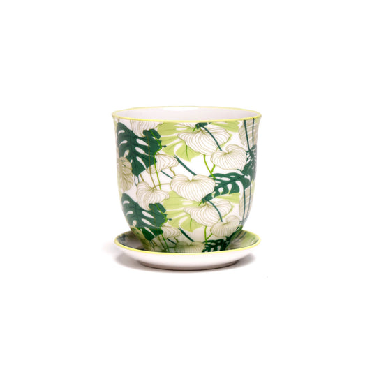 Chive - Liberte Indoor Porcelain Plant Pots: Monstera / 3.25"