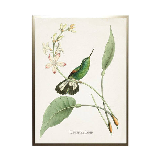 Antique Curiosities Inc - Hummingbird On Leaves With Flowers: Gold Frame 2425-35 Aq / 10" X 8"