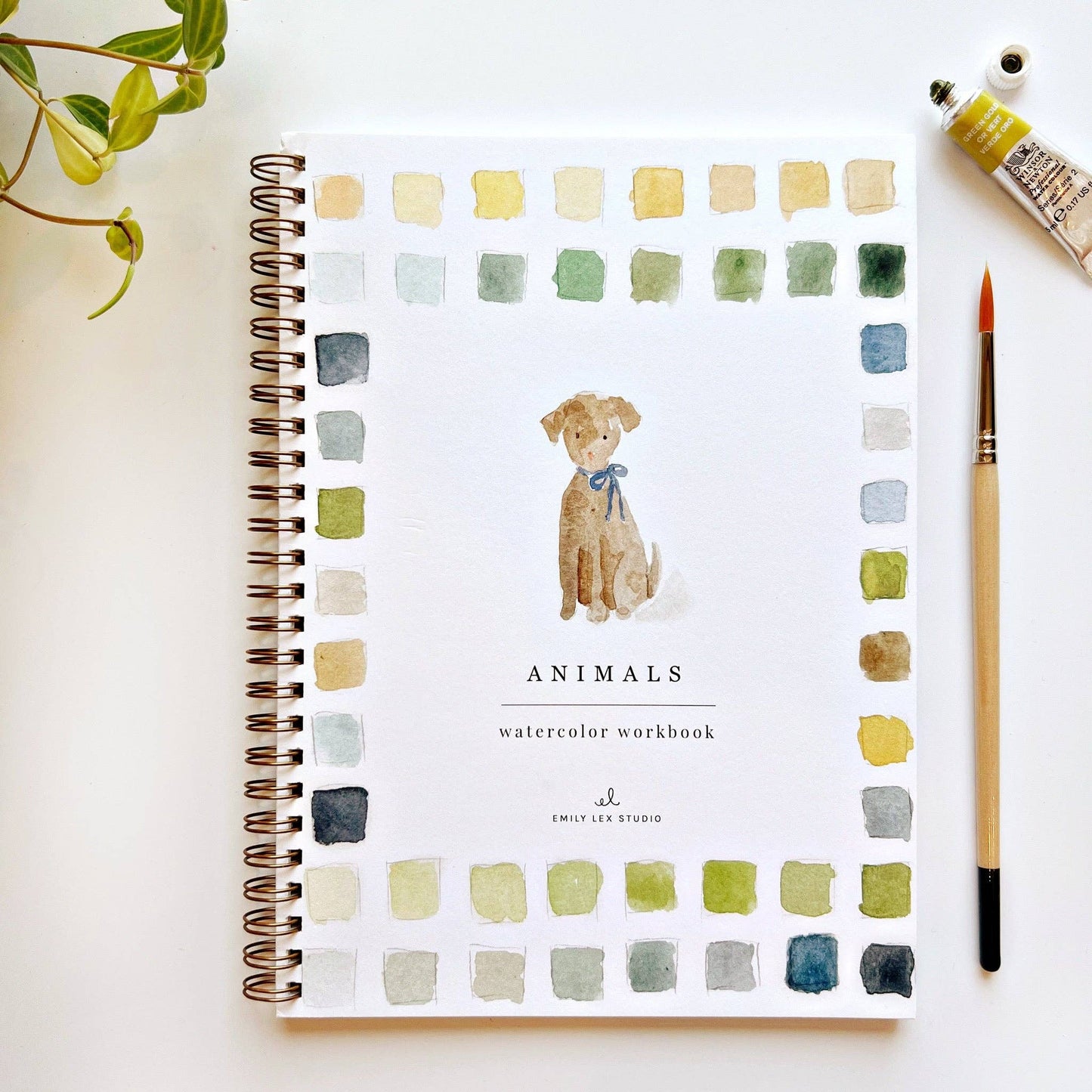 emily lex studio - Animals watercolor workbook presale