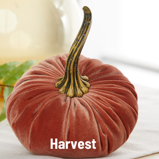 Your Heart's Content - Pumpkin Large Velvet, Fall Decor, Shelf Sitter, Tablescape: Harvest