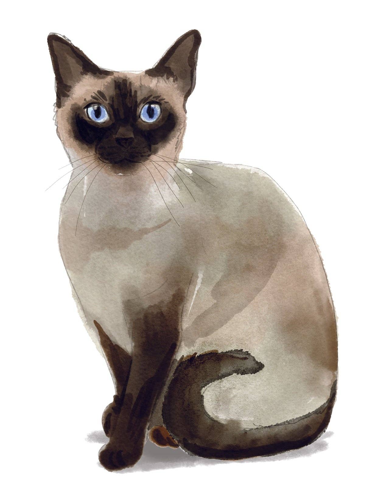 Bourbon & Bacon - Siamese Cat Note Cards