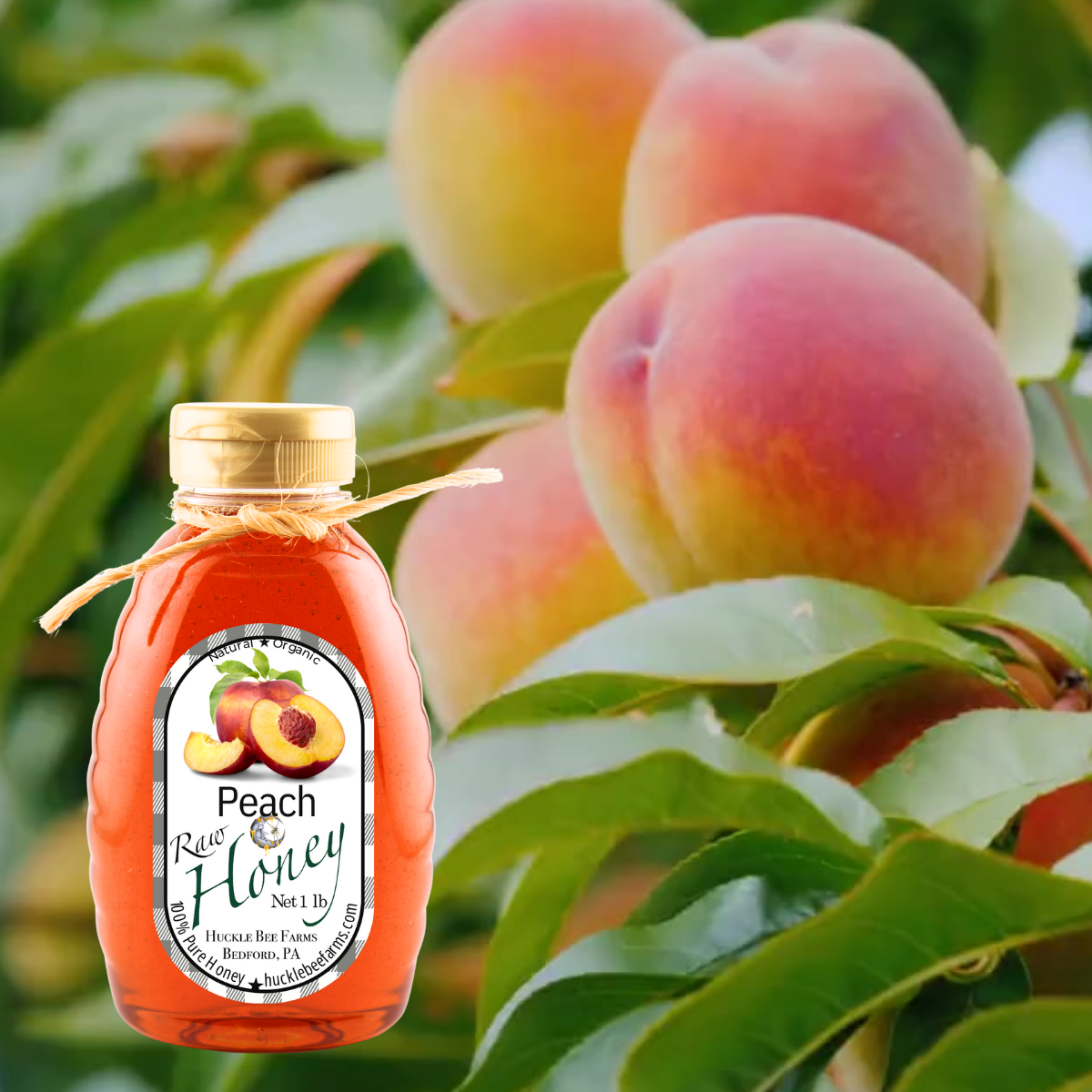 Huckle Bee Farms LLC - Peach Infused Raw Honey: 1 lb Bottle