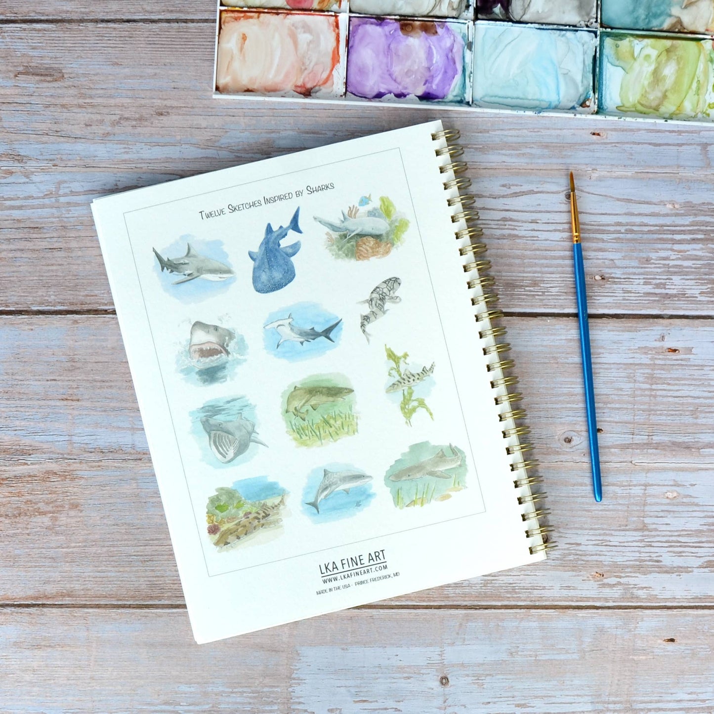 LKA Fine Art - Watercolor workbook, Shark themed Watercoloring book