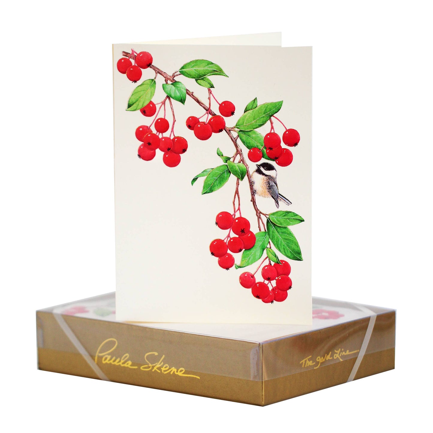 PAULA SKENE DESIGNS - Bird & Berries Christmas Card: Single Sleeved Card