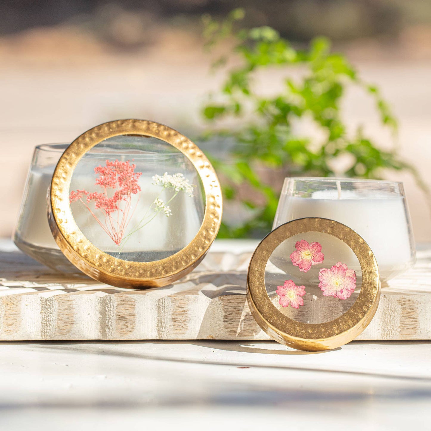 Rosy Rings - Spicy Apple Medium Pressed Floral Candle