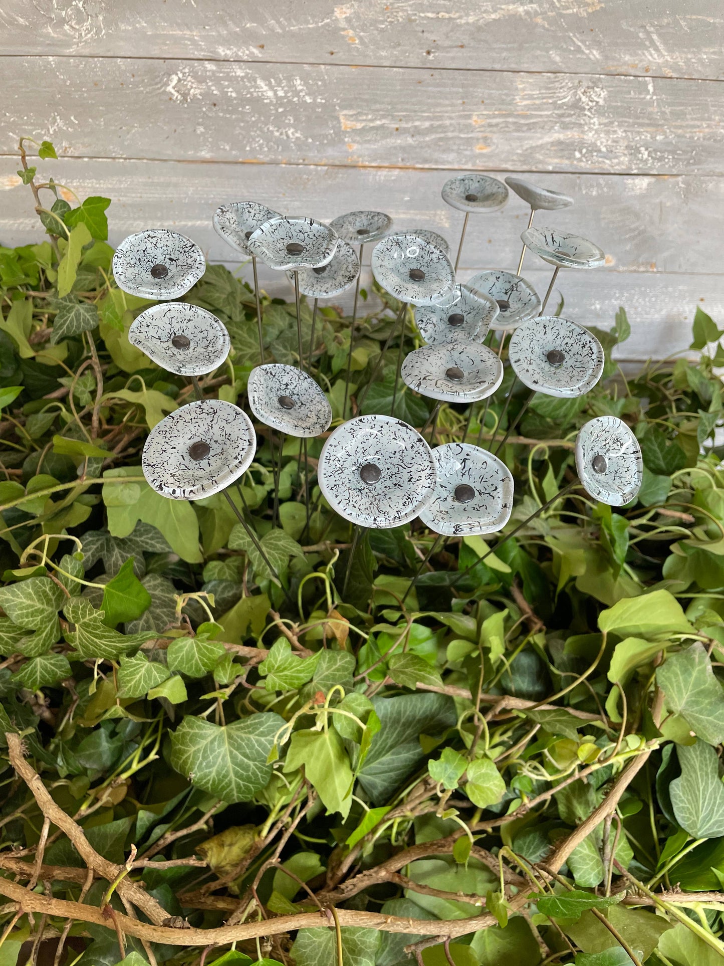 CARNEOL GLASS - Small Glass Flower For Inside In White-Black